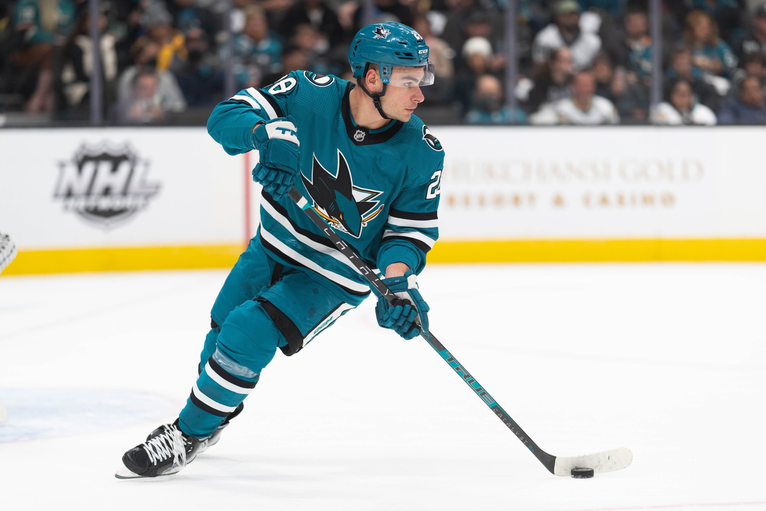 Timo Meier Passe Aux Devils Du New Jersey